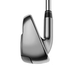 Big Bertha Irons
