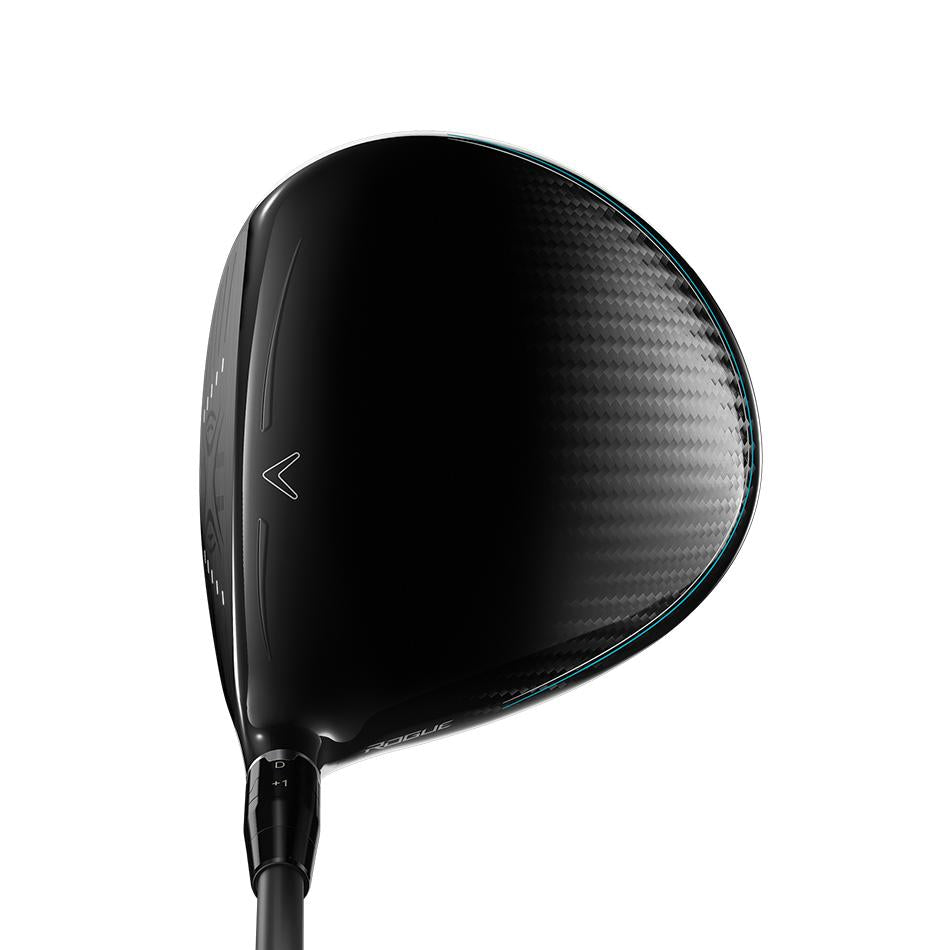 Rogue Driver