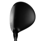 Great Big Bertha Fairway Wood