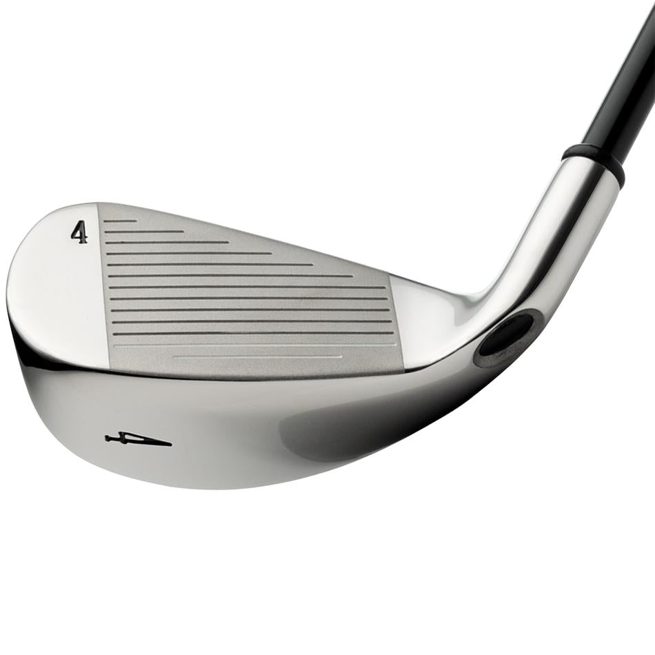Big Bertha Irons (2008)